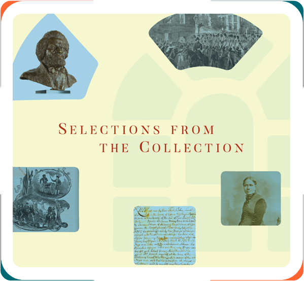 Selections-from-the-collections